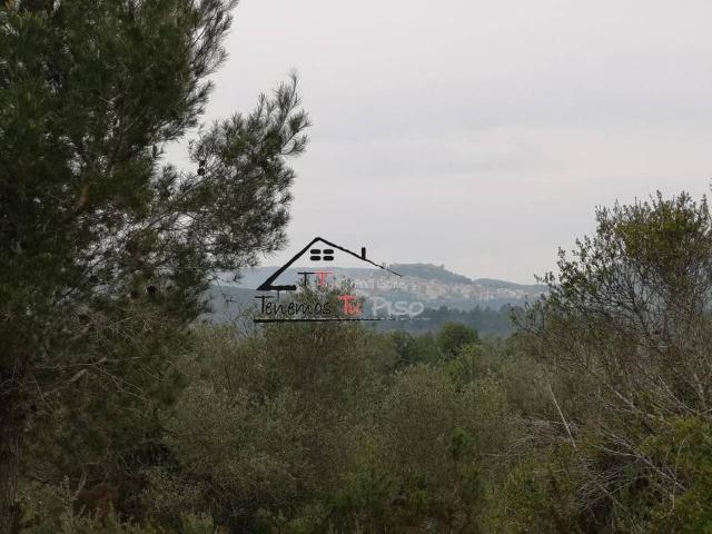 Terreno en venta en el Baix Maestrat, Valencia