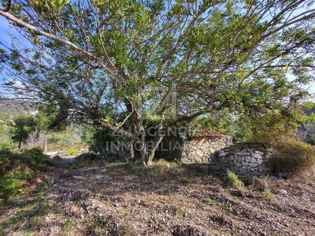 Terreno en venta en el Baix Maestrat, Valencia