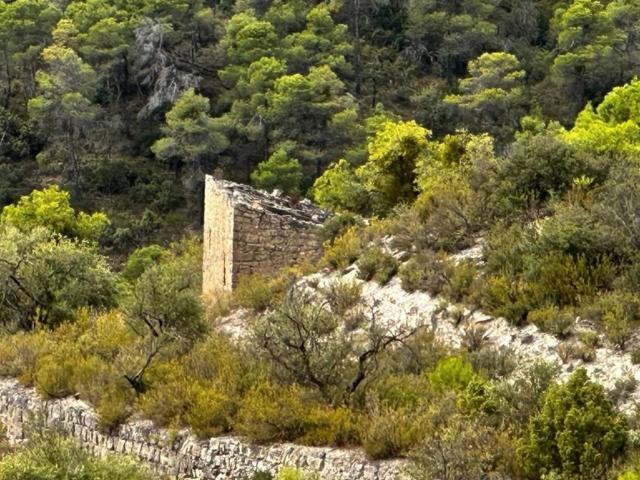 Terreno en venta en Garrigues, Catalunya