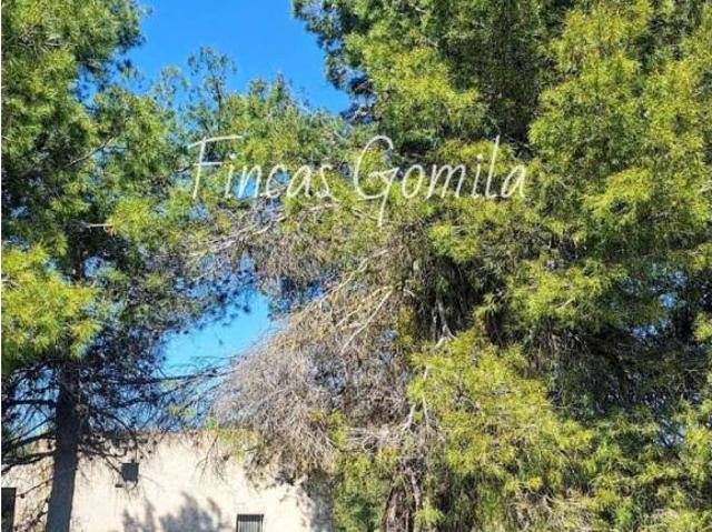 Terreno en venta en Garrigues, Catalunya
