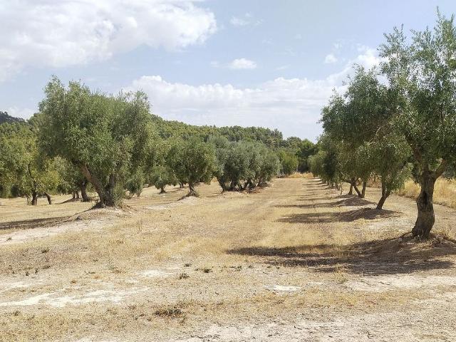 Terreno en venta en Garrigues, Catalunya