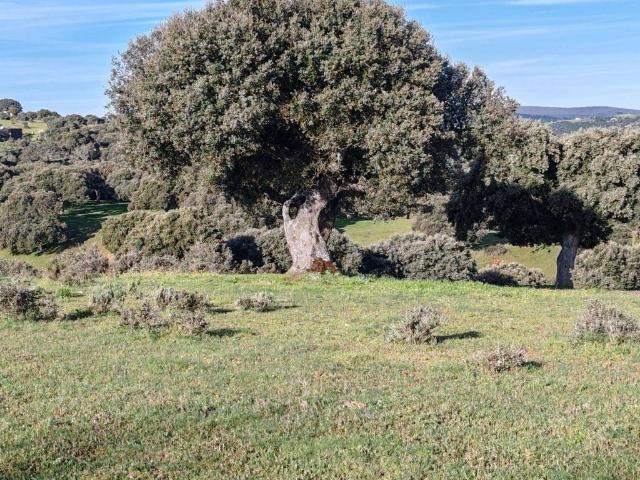 Terreno en venta en Cespedosa De Tormes, Salamanca
