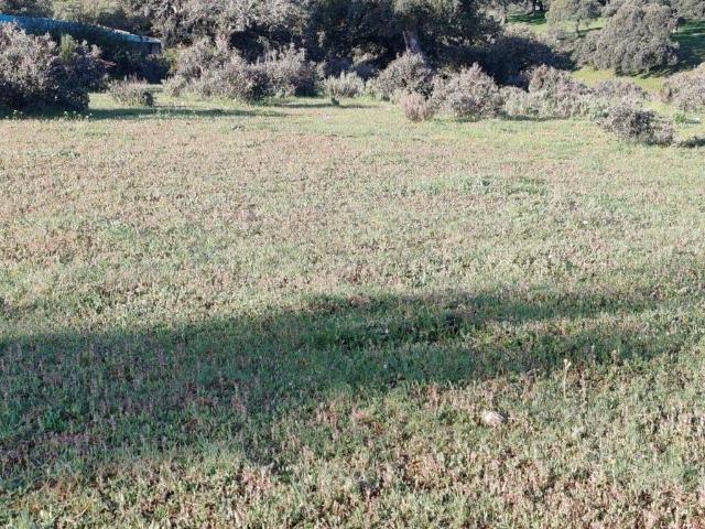 Terreno en venta en Cespedosa De Tormes, Castilla y León