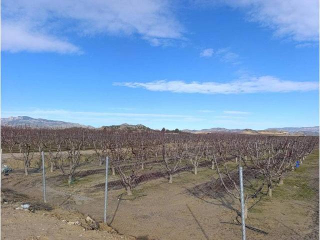 Terreno en venta en Vega Media del Segura, Murcia