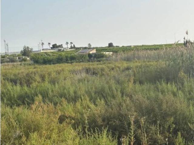 Terreno en venta en Los Torraos, Vega Media del Segura