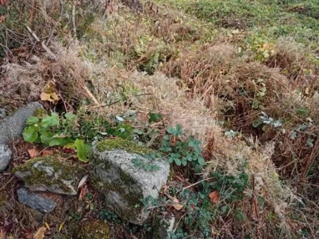Terreno en venta en Chantada, Galicia