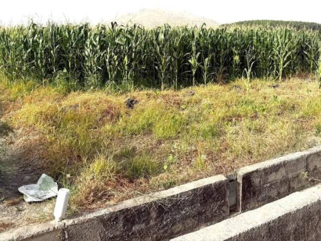 Terreno en venta en Comarca de la Vega de Granada, Andalucía