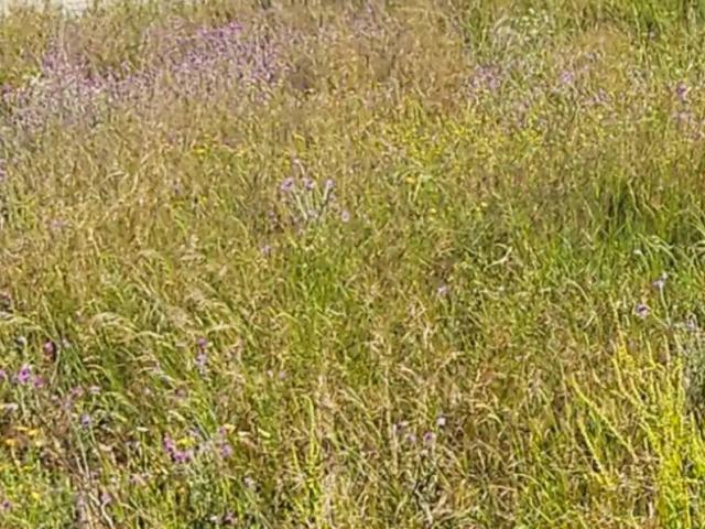 Terreno en venta en Bahía de Cádiz, Andalucía