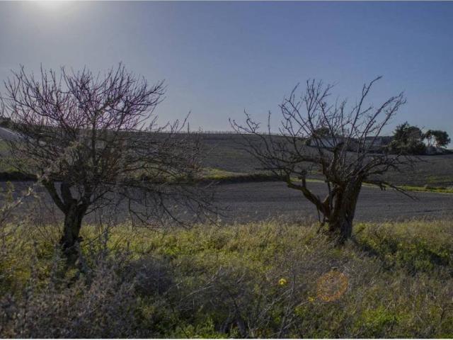 Terreno en venta en Bahía de Cádiz, Andalucía