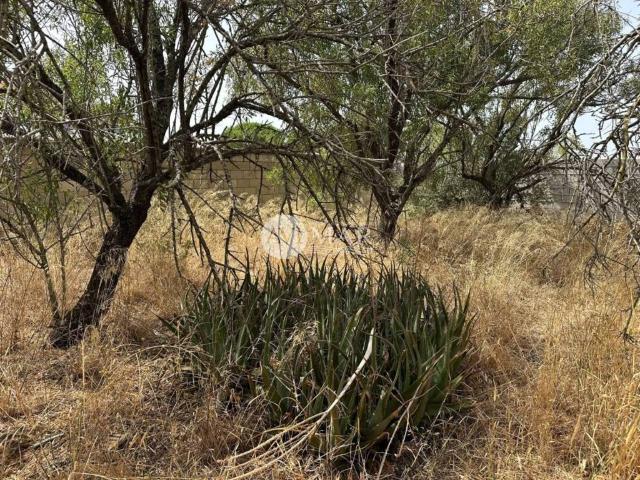 Terreno en venta en Bahía de Cádiz, Andalucía