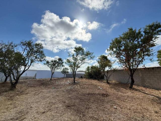 Terreno en venta en Bahía de Cádiz, Andalucía
