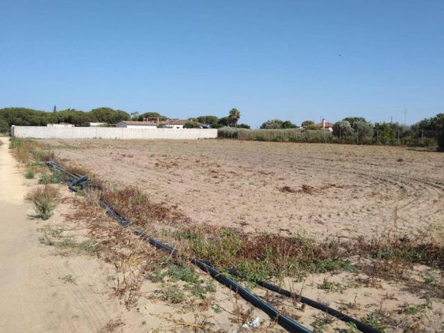 Terreno en venta en Chiclana de la Frontera, Cádiz