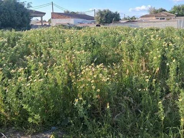 Terreno en venta en Bahía de Cádiz, Andalucía