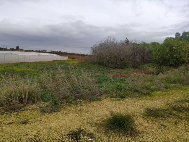 Quinta en venta en Chiclana De La Frontera