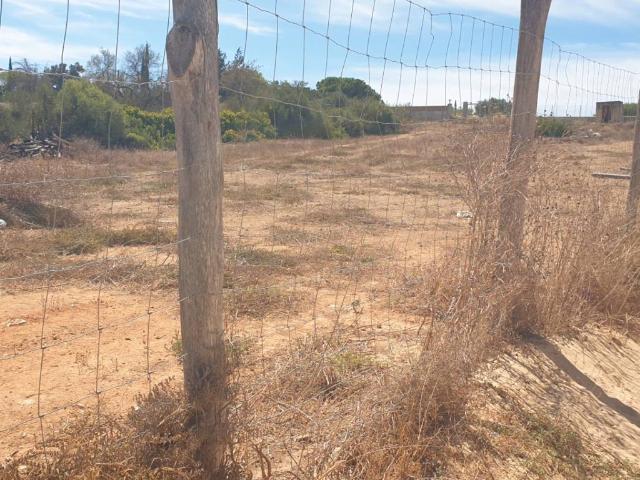 Terreno en venta en Los Gallos-Cerromolino, Bahía de Cádiz