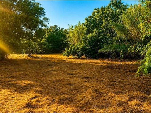 Terreno en venta en Bahía de Cádiz, Andalucía