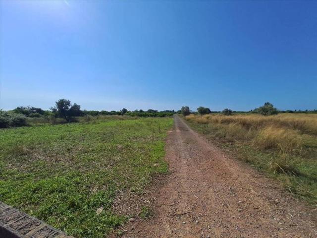 Terreno en venta en la Plana Baixa, Valencia