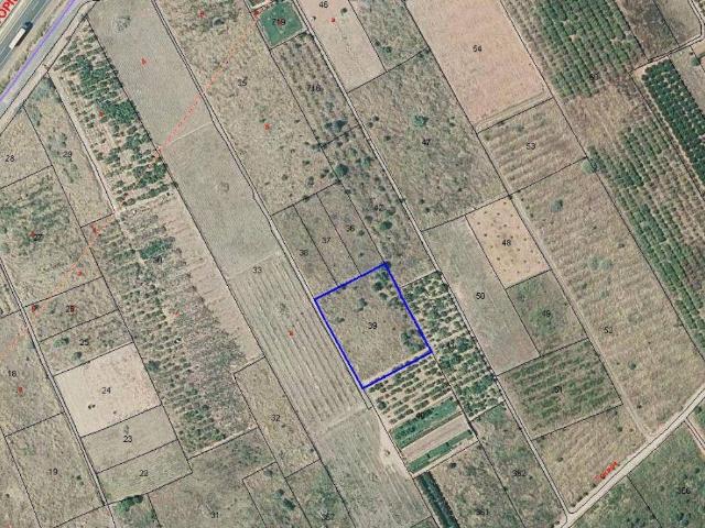 Terreno en venta en la Plana Baixa, Valencia