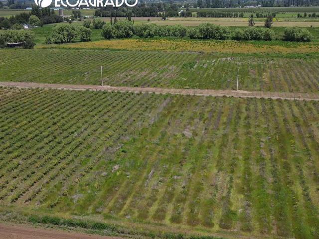 Terreno en venta en Diguillín, San Ignacio