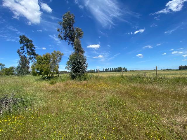 Terreno en venta en Diguillín, San Ignacio