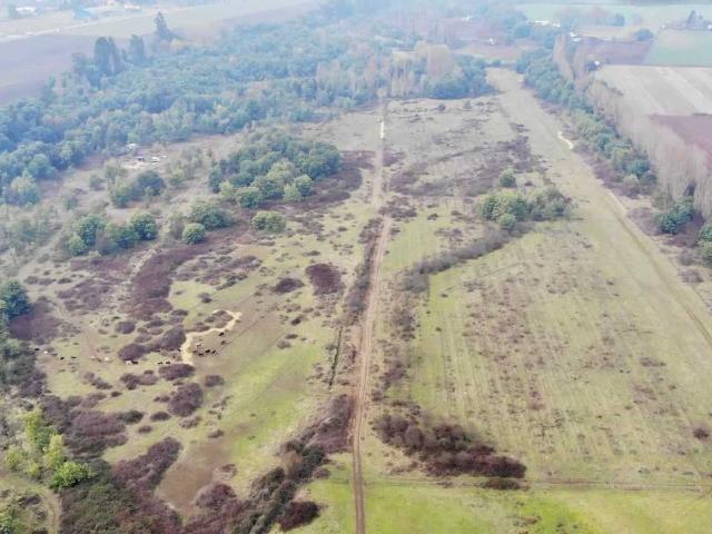 Terreno en Venta en Chillán