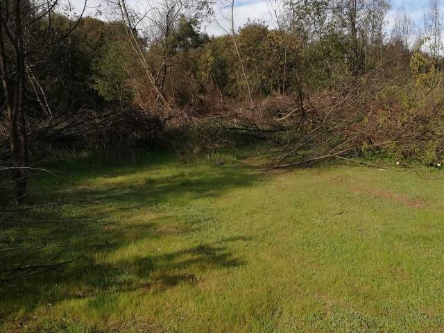 Terreno en Venta en Chillán