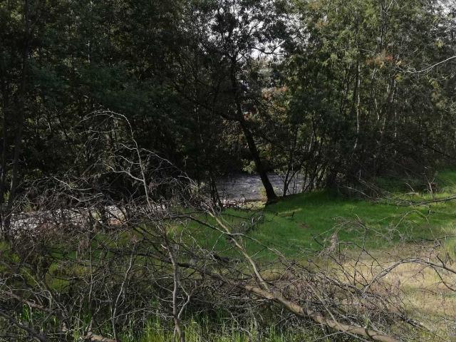 Terreno en Venta en Chillán