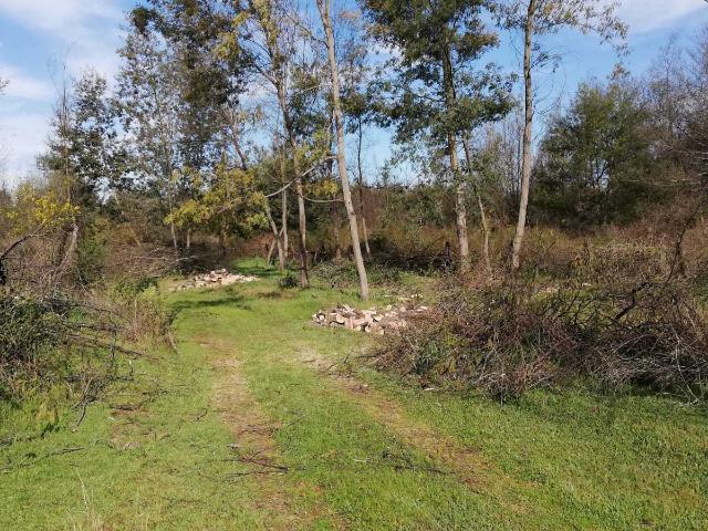 Terreno en Venta en Chillán