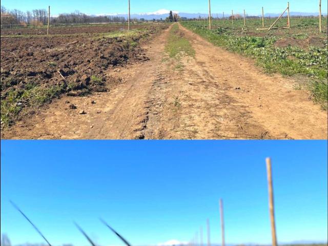 Terreno en Venta en Chillán