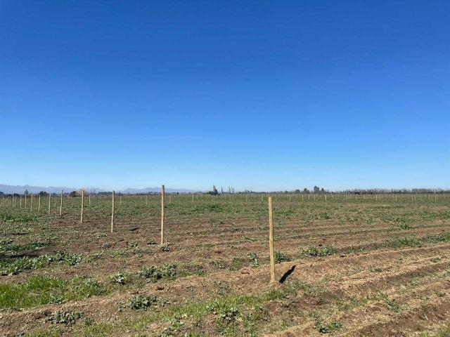 Terreno en Venta en Chillán