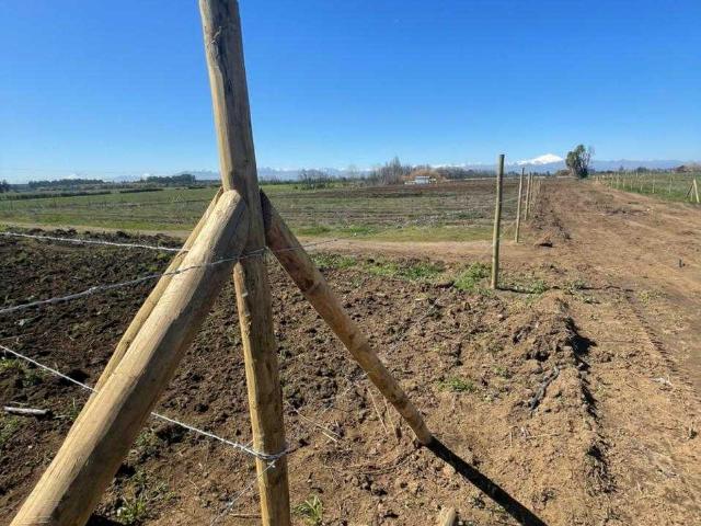 Terreno en Venta en Chillán