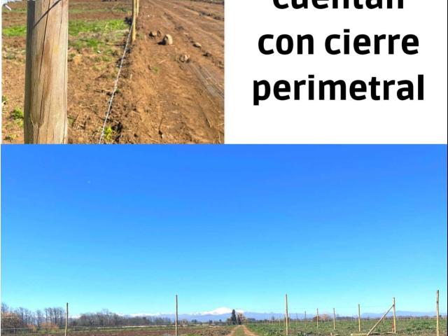 Terreno en Venta en Chillán