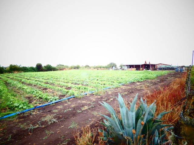 Terreno en Venta en Chillán