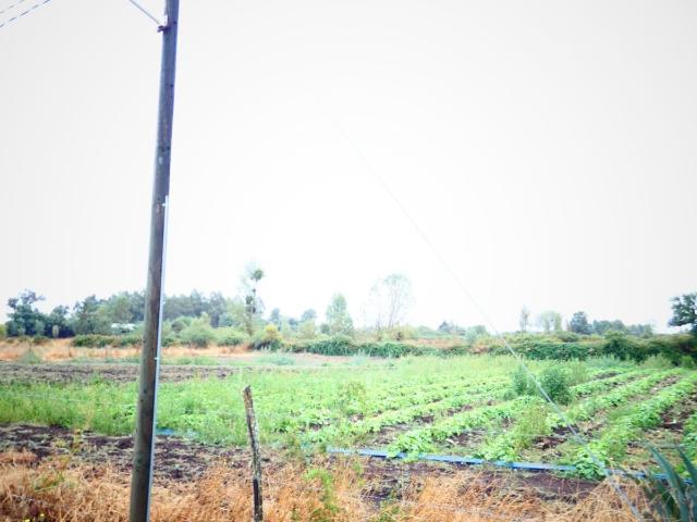 Terreno en Venta en Chillán