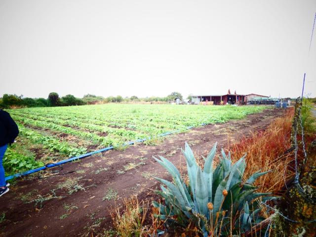 Terreno en Venta en Chillán