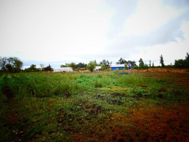 Terreno en Venta en Chillán