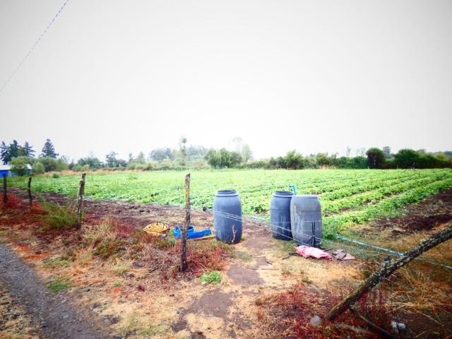 Terreno en Venta en Chillán