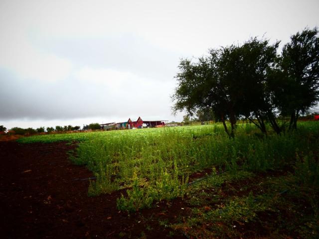 Terreno en Venta en Chillán