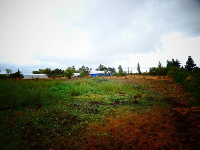 Terreno en Venta en Chillán