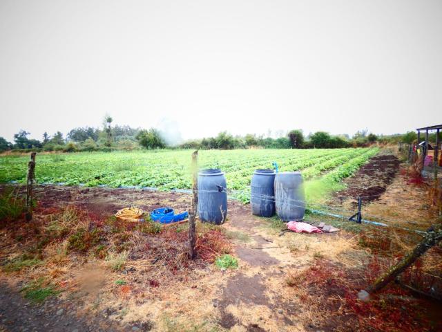 Terreno en Venta en Chillán