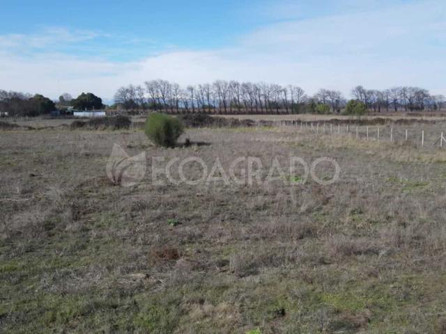 Terreno en Venta en Chillán