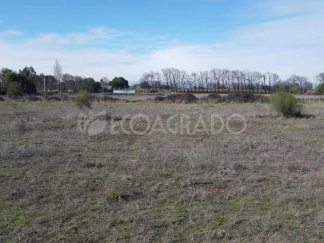 Terreno en Venta en Chillán