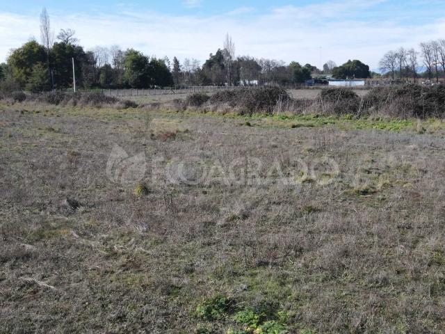 Terreno en Venta en Chillán