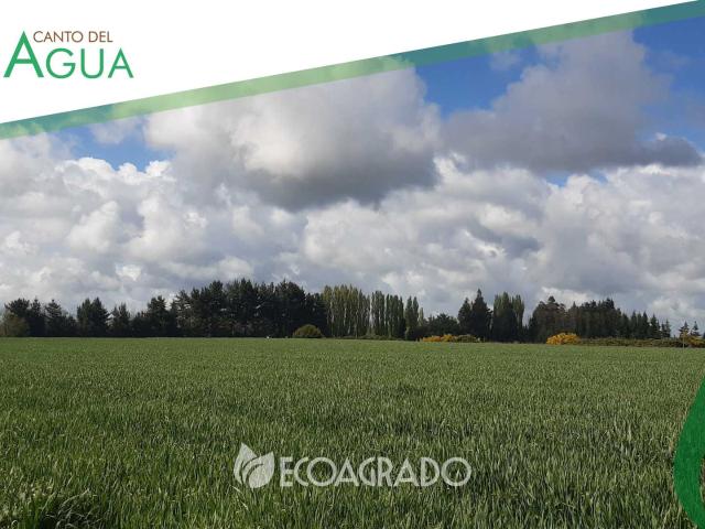 Terreno en Venta en Chillán