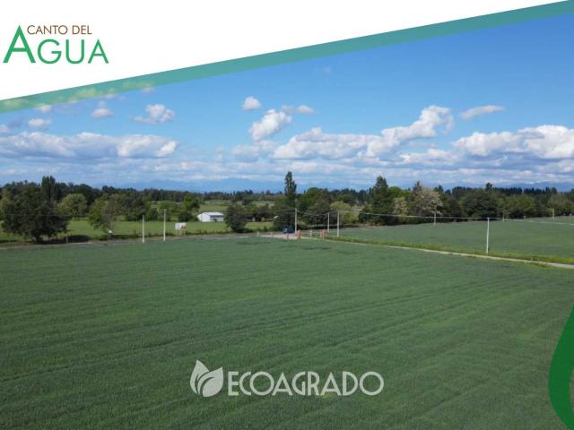 Terreno en Venta en Chillán