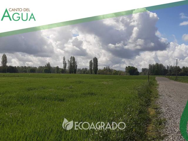 Terreno en Venta en Chillán