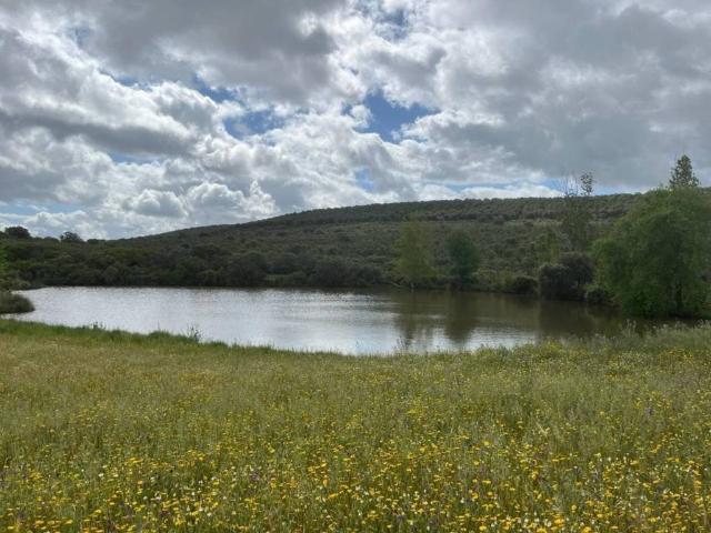 Terreno en venta en Chillón, Castilla-La Mancha