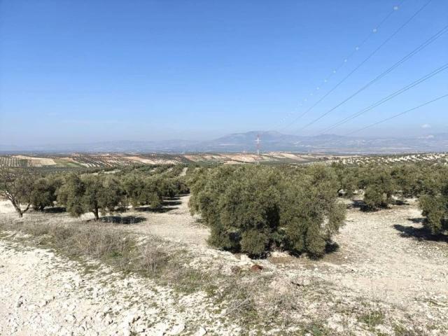 Terreno en venta en Comarca de Alhama, Andalucía