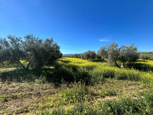 Terreno en venta en Comarca de Alhama, Andalucía