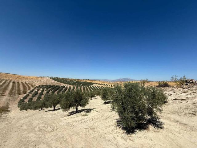 Terreno en venta en Comarca de Alhama, Andalucía